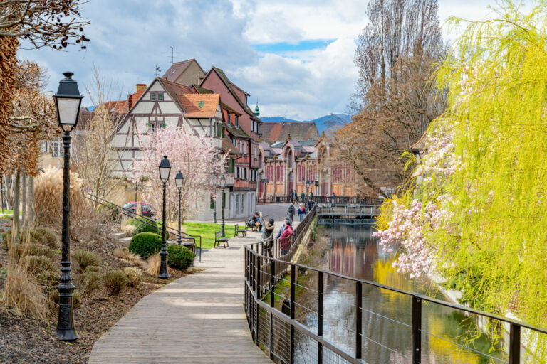 Délibérations du Comité Syndical ou du Bureau
