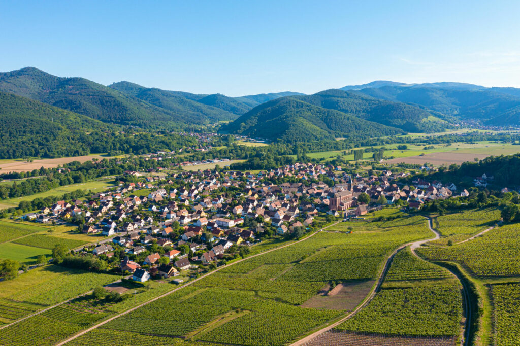 Vignoble © Vallée de Munster