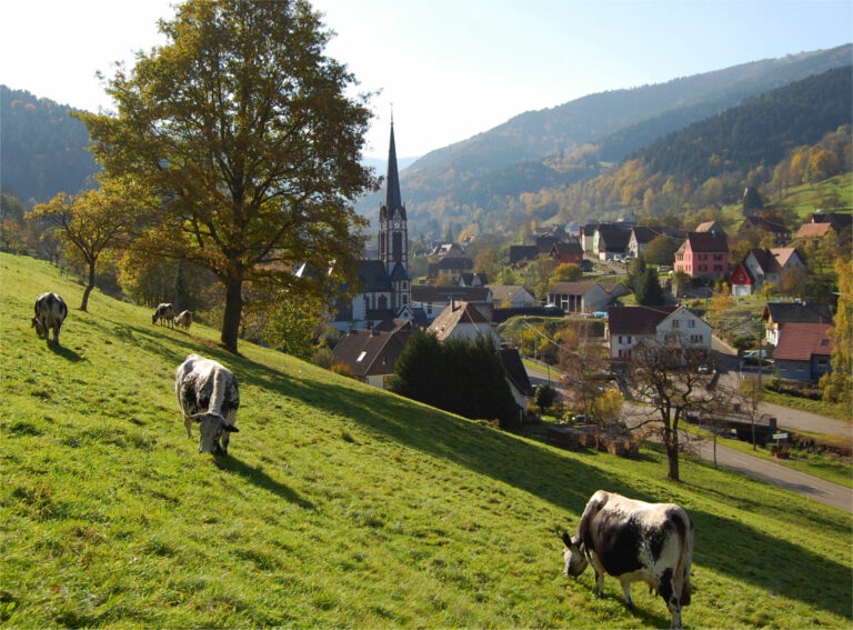 Archives (SDAU, anciens  SCoT…)